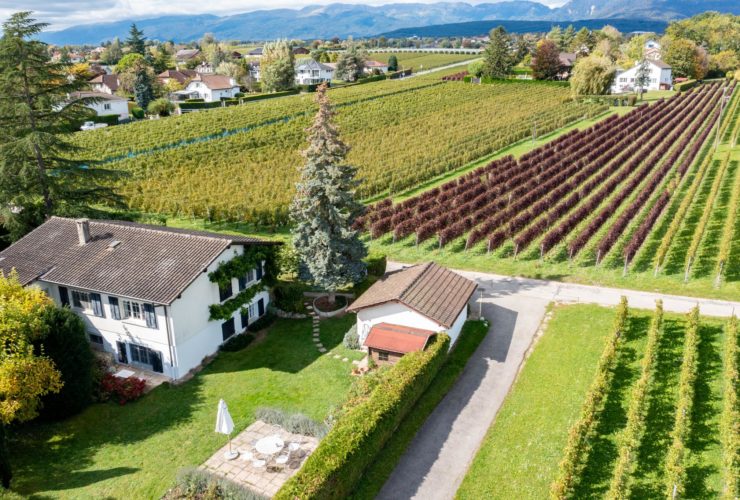 Maison de charme au coeur des vignes et à deux pas du centre du village