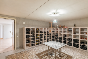 Rare – Belle villa de maître avec piscine et parc de 4’000 m²